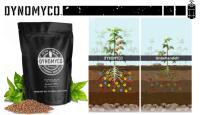 DYNOMYCO Premium Mykorrhiza - Mykorrhiza von DYNOMYCO steigert die Erträge und reduziert den Einsatz von Düngern.