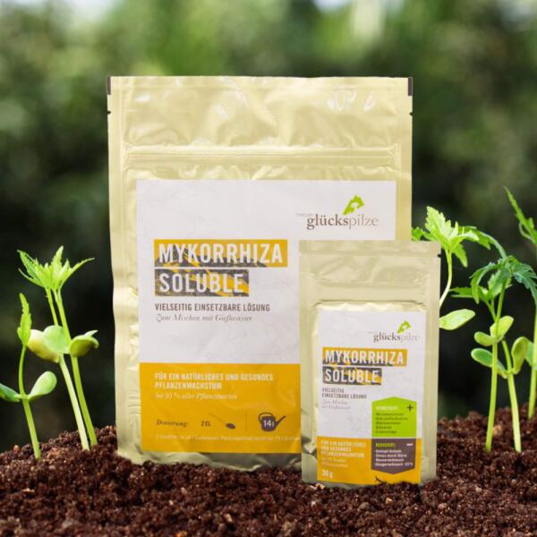 Tyroler Glückspilze Mykorrhiza Soluble 90 g