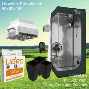 Growboxset RoyalRoom C80 mit FlowaPowa FlowerOne