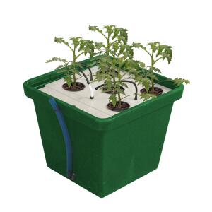 Terra Aquatica CultiMate Aero für 1 – 5 Pflanzen