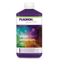 Plagron Green Sensation Blütenaktivator 1 L