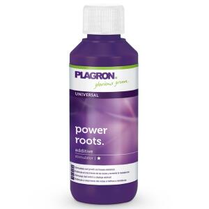 Plagron Power Roots 100 ml