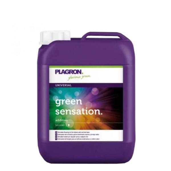 Plagron Green Sensation Blütenaktivator 5 L