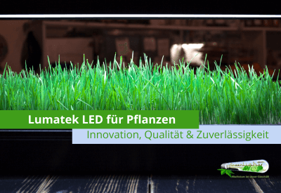 Lumatek LEDs für Pflanzen stehen für Innovation, Qualität und Zuverlässigkeit